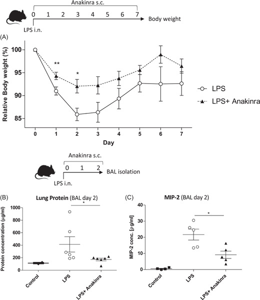 Anakinra reduces lung inflammation in experimental acute lung injury