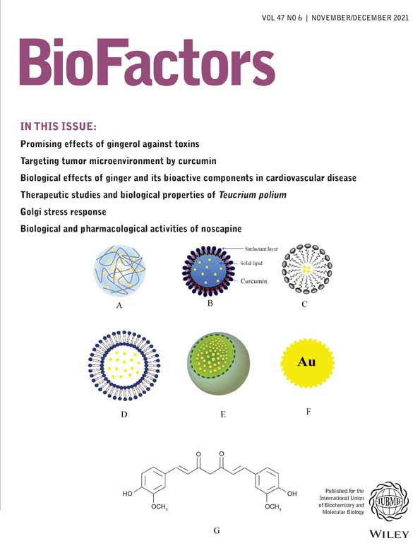 LncRNA LOC100507144 acts as a novel regulator of CD44/Nanog/Sox2/miR‐302/miR‐21 axis in colorectal cancer