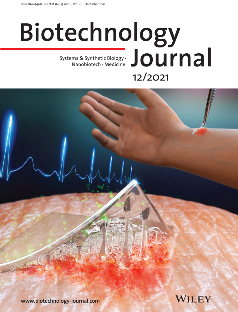 Dinucleotide tag‐based parallel reporter gene assay method enables efficient identification of regulatory mutations