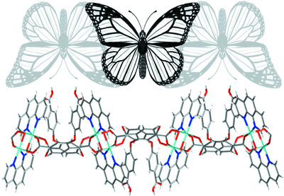 Syntheses, structures and magnetic properties of two CoII/NiII isostructural coordination polymers based on an asymmetric semirigid tricarboxylate ligand