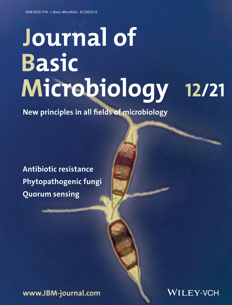 Self‐targeting spacers in CRISPR‐array: Accidental occurrence or evolutionarily conserved phenomenon