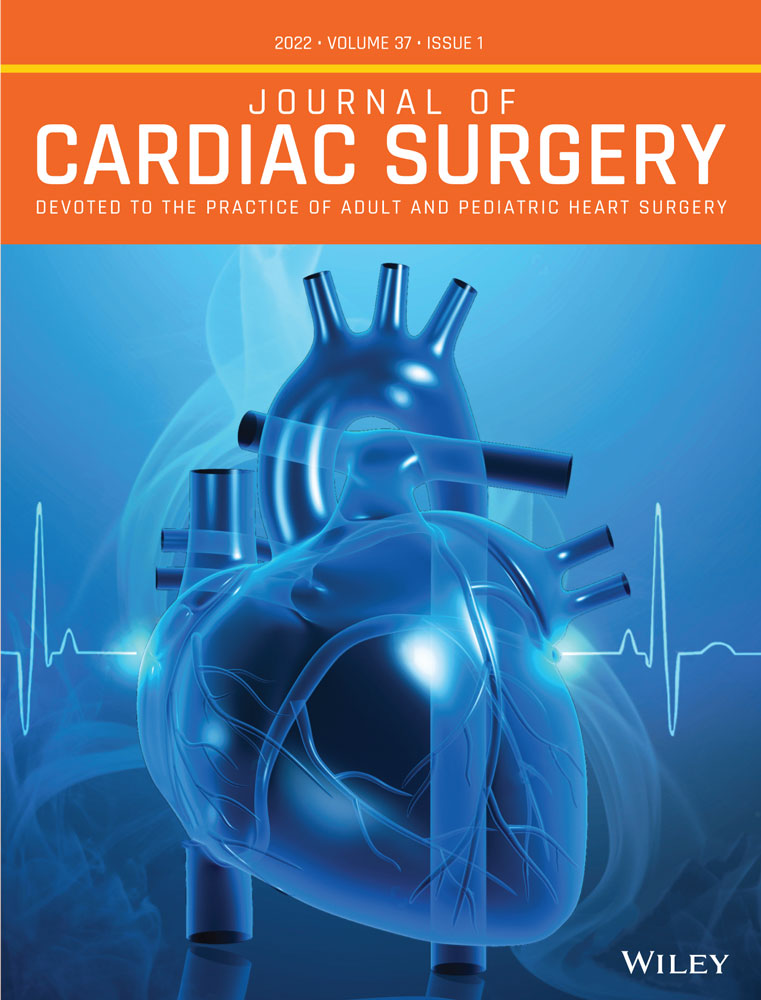 Minimally invasive aortic valve surgery: What approach shall I use?