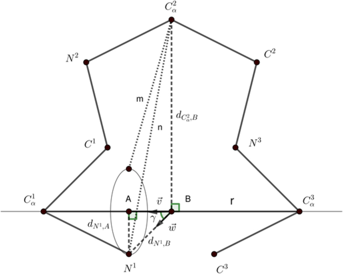 Distance geometry and protein loop modeling