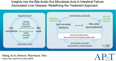 Review article: insights into the bile acid‐gut microbiota axis in intestinal failure‐associated liver disease—redefining the treatment approach