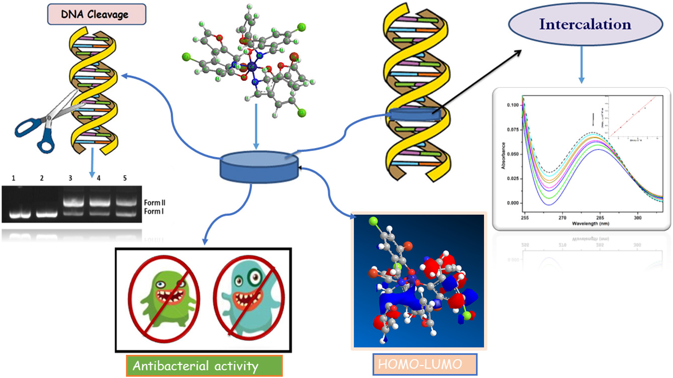 Synthesis, spectroscopic and thermal studies of Cu+2, Ni+2 and Co+3 complexes of Schiff base containing furan moiety. Antitumor, antioxidant, antibacterial and DNA interaction studies