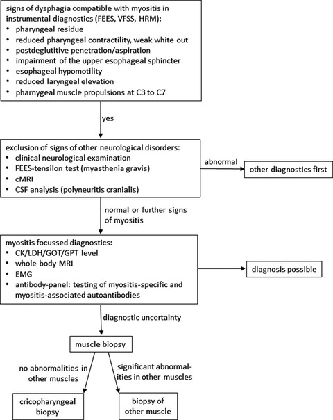 Detecting myositis as a cause of unexplained dysphagia: Proposal for a diagnostic algorithm
