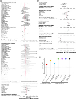 Evaluating brain structure traits as endophenotypes using polygenicity and discoverability