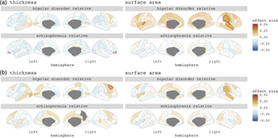 Intelligence, educational attainment, and brain structure in those at familial high‐risk for schizophrenia or bipolar disorder