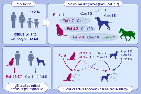 Molecular sensitization patterns in animal allergy: Relationship with clinical relevance and pet ownership