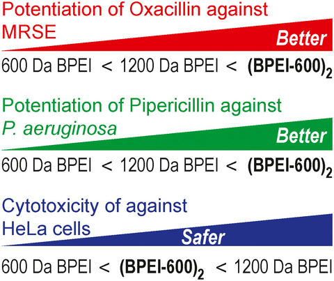 Dimerization of 600 Da Branched Polyethyleneimine Improves β‐lactam Antibiotic Potentiation against Antibiotic Resistant Staphylococcus epidermidis and Pseudomonas aeruginosa