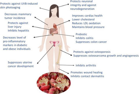 Ongoing and potential novel trends of pomegranate fruit peel; a comprehensive review of its health benefits and future perspectives as nutraceutical
