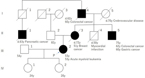 Germline TP53 c.566C>T mutation incidentally diagnosed during treatment for acute myeloid leukemia: A case report