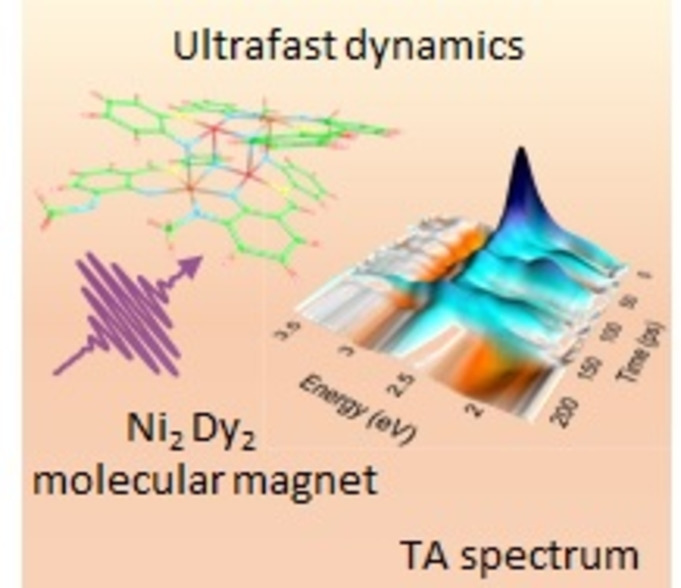 Experimental and Theoretical Study of the Ultrafast Dynamics of a Ni2Dy2‐Compound in DMF After UV/Vis Photoexcitation