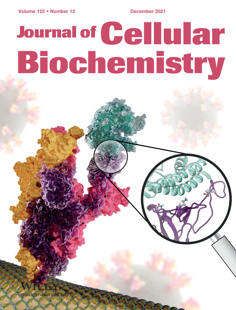 Protein acetylation effects on enzyme activity and metabolic pathway fluxes