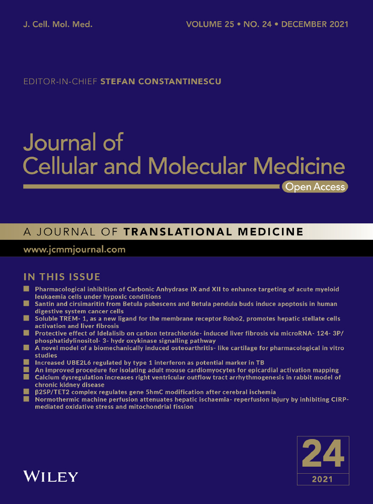 Clinical translation of mesenchymal stromal cell extracellular vesicles: Considerations on scientific rationale and production requisites