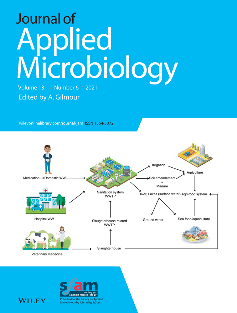 Bacteriophages: A weapon against mixed‐species biofilms in the food processing environment