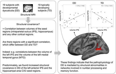Increased structural covariance in brain regions for number processing and memory in children with developmental dyscalculia