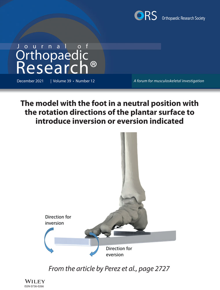 Triphasic Calcium‐Based Implant Material Resorbs and is Replaced with Bone in Ovariectomized Rats with or without Bisphosphonate Treatment