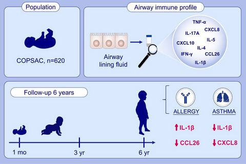 Neonatal airway immune profiles and asthma and allergy endpoints in childhood