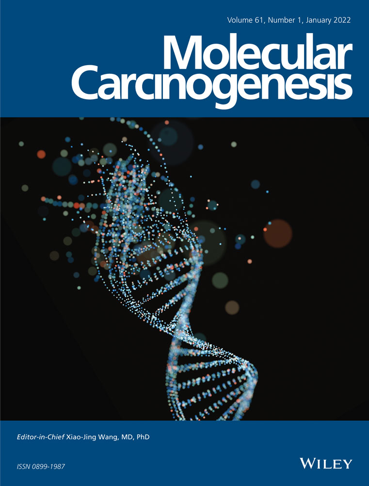 Role of solute carrier transporters SLC25A17 and SLC27A6 in acquired resistance to enzalutamide in castration‐resistant prostate cancer