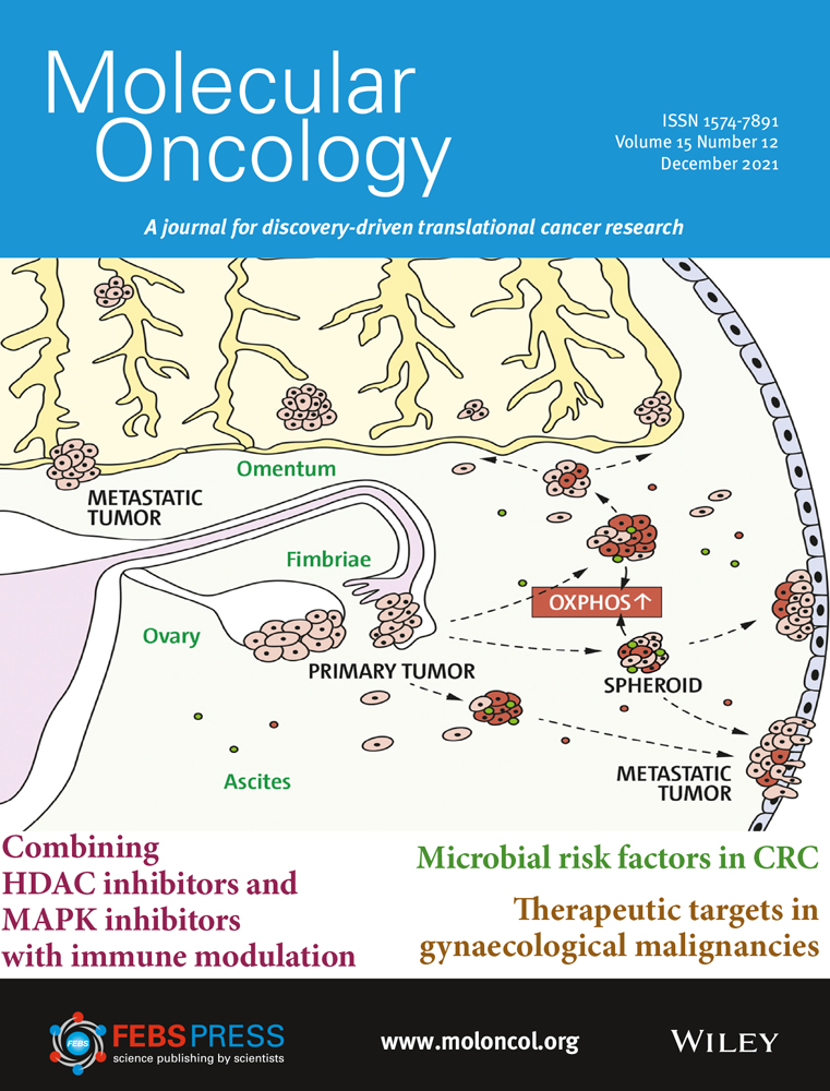Clinical significance of FAT1 gene mutation and mRNA expression in patients with head and neck squamous cell carcinoma