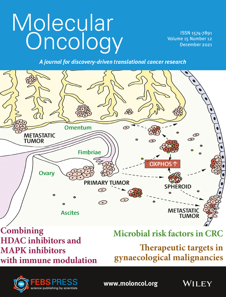 Cancer outcomes research – a European challenge Part II: Opportunities and priorities