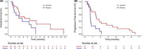 Anlotinib for patients with small cell lung cancer and baseline liver metastases: A post hoc analysis of the ALTER 1202 trial