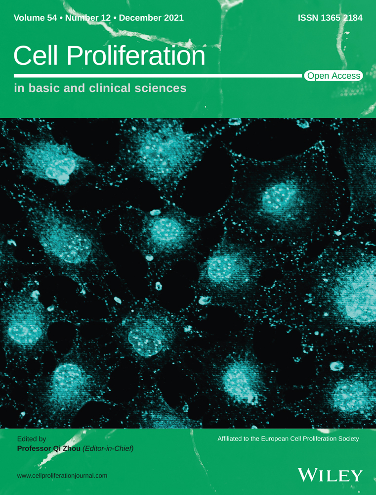 Requirements for human haematopoietic stem/progenitor cells