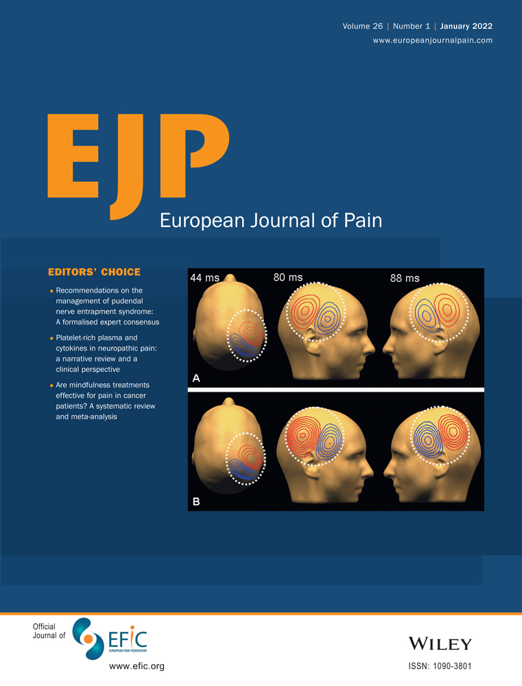 The association of probable PTSD at baseline and pain‐related outcomes after chronic pain rehabilitation: A comparison of DSM‐5 and ICD‐11 criteria for PTSD