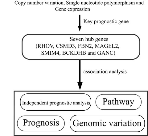 Identification of seven‐gene marker to predict the survival of patients with lung adenocarcinoma using integrated multi‐omics data analysis