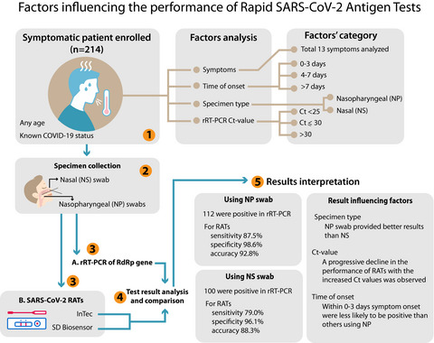 Factors influencing the performance of rapid SARS‐CoV‐2 antigen tests under field condition