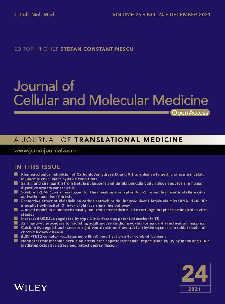 Multi‐omics of the expression and clinical outcomes of TMPRSS2 in human various cancers: A potential therapeutic target for COVID‐19