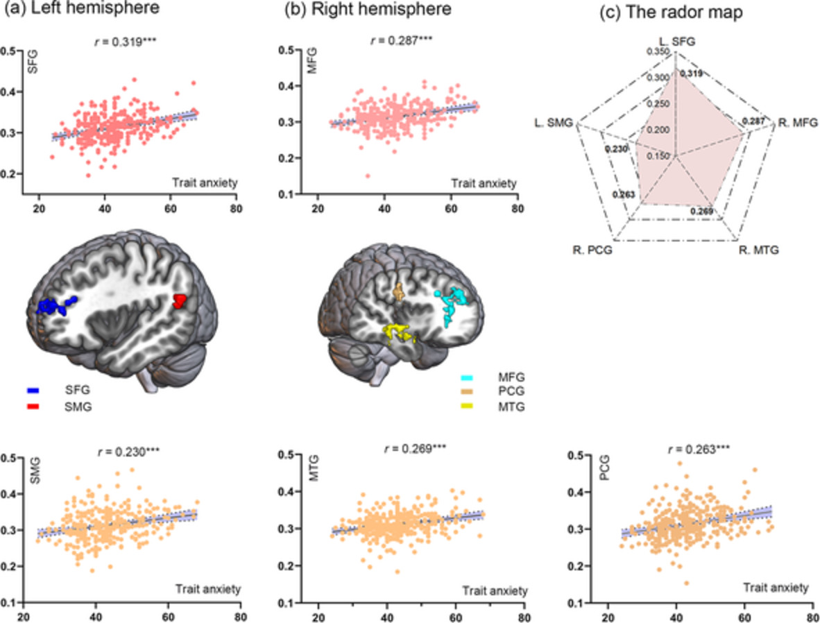 The anxiety‐specific hippocampus–prefrontal cortex pathways links to procrastination through self‐control