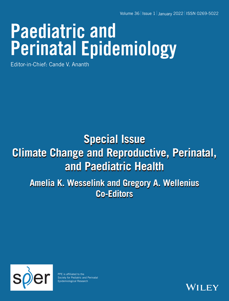 Selecting exposure data and identifying relevant exposure windows for birth outcome studies