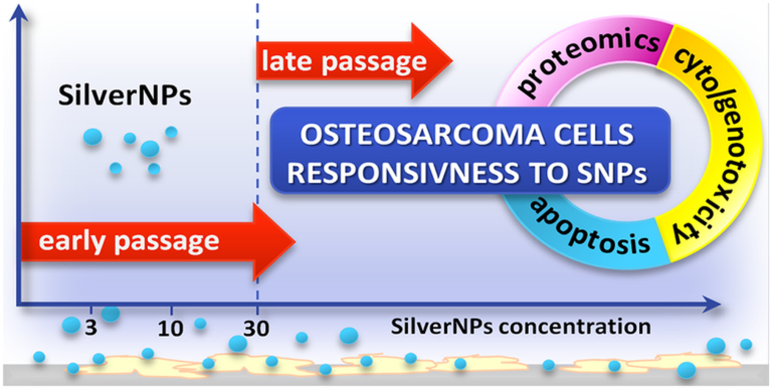 Osteosarcoma cells in early and late stages as cancer in vitro progression model for assessing the responsiveness of cells to silver nanoparticles