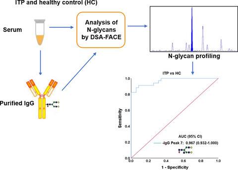 N‐glycan profiling alterations of serum and immunoglobulin G in immune thrombocytopenia