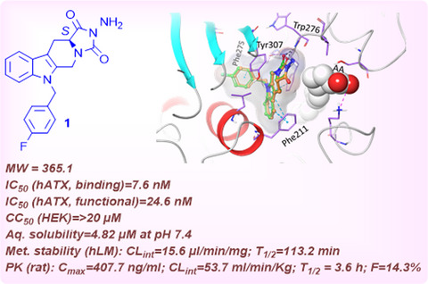 Structure‐based discovery of (S)‐2‐amino‐6‐(4‐fluorobenzyl)‐5,6,11,11a‐tetrahydro‐1H‐imidazo[1',5':1,6]pyrido[3,4‐b]indole‐1,3(2H)‐dione as low nanomolar, orally bioavailable autotaxin inhibitor