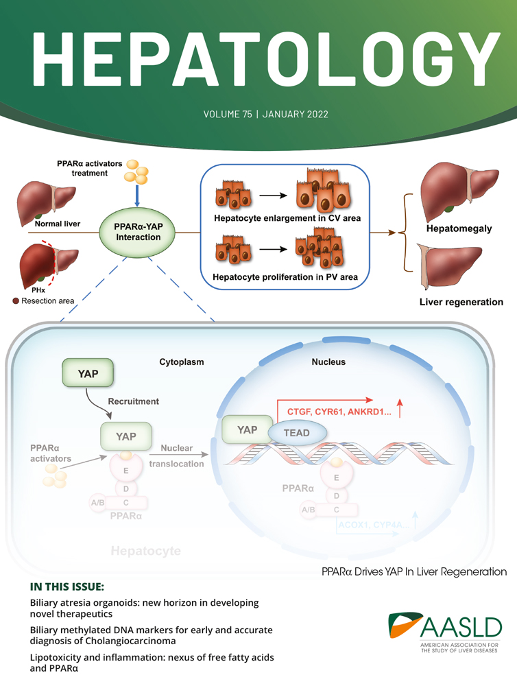 Mapping the conformational epitope of a therapeutic monoclonal antibody against HBsAg by in vivo selection of HBV escape variants