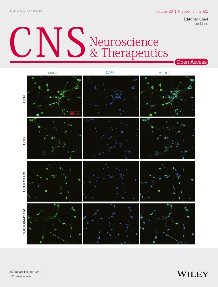 Clinical and imaging characteristics of 4H syndrome: A case report