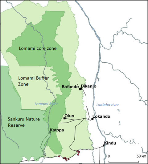 Lomami Buffer Zone (DRC): Forest composition, structure, and the sustainability of its use by local communities