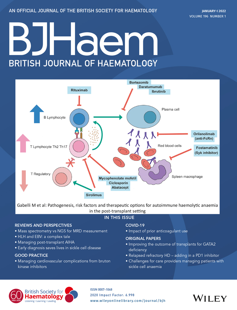 Eltrombopag in paediatric immune thrombocytopenia: Iron metabolism modulation in mesenchymal stromal cells