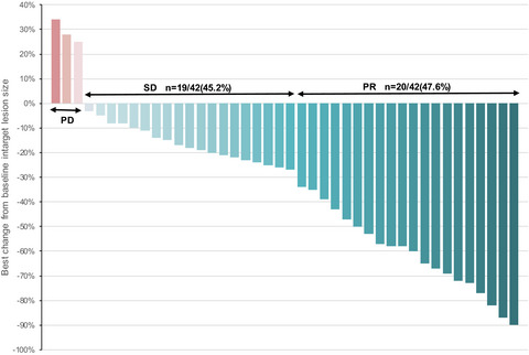 The efficacy and safety of pyrotinib in treating HER2‐positive breast cancer patients with brain metastasis: A multicenter study