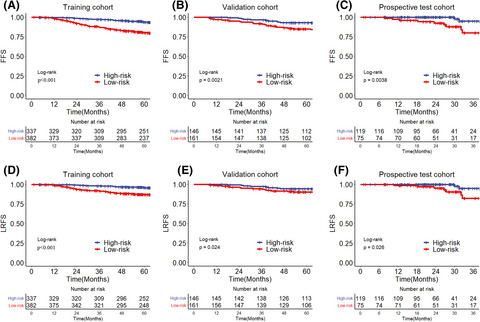Development and prospective validation of a risk score model in guiding individualized concurrent chemoradiotherapy in stage II nasopharyngeal carcinoma in intensity‐modulated radiotherapy era