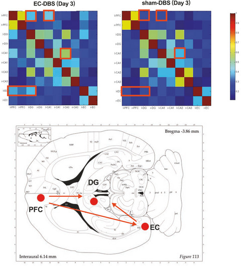 Modulation of the rat hippocampal‐cortex network and episodic‐like memory performance following entorhinal cortex stimulation