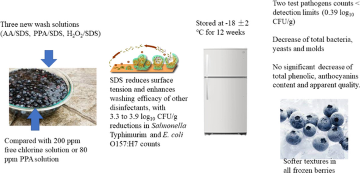 Survival of Salmonella Typhimurium and Escherichia coli O157:H7 on blueberries and impacts on berry quality during 12 weeks of frozen storage after washing with combinations of sodium dodecyl sulfate and organic acids or hydrogen peroxide