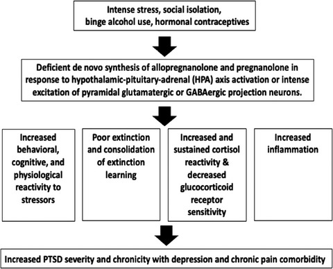 A role for deficits in GABAergic neurosteroids and their metabolites with NMDA receptor antagonist activity in the pathophysiology of posttraumatic stress disorder