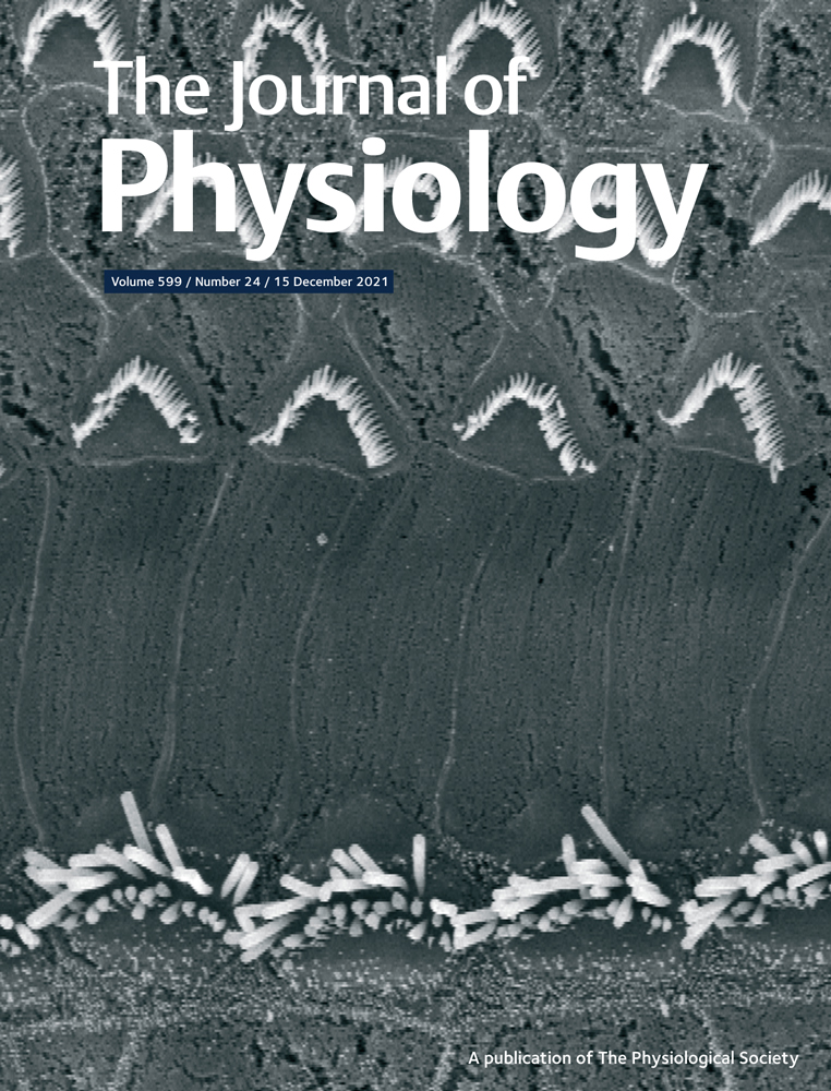 The Endocrine Kidney: Tampering with oxygen sensors may change your character