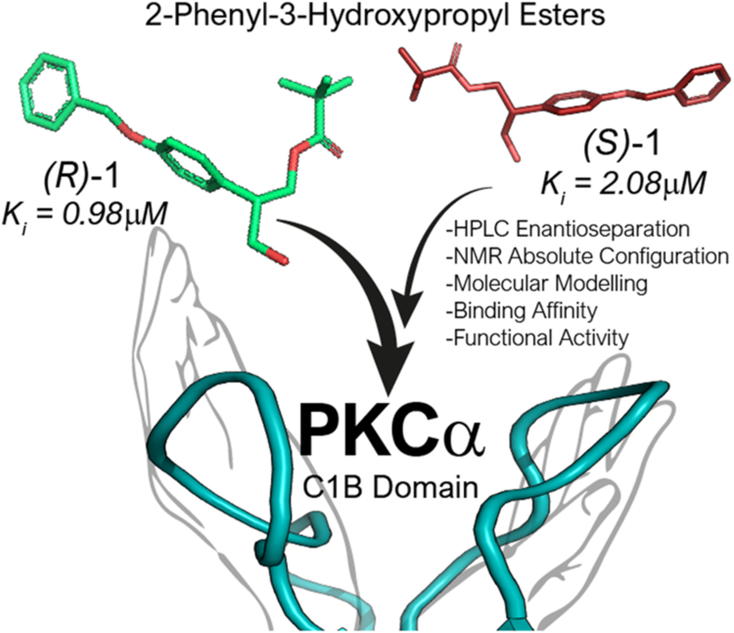 Chiral 2‐phenyl‐3‐hydroxypropyl esters as PKC‐alpha modulators: HPLC enantioseparation, NMR absolute configuration assignment, and molecular docking studies