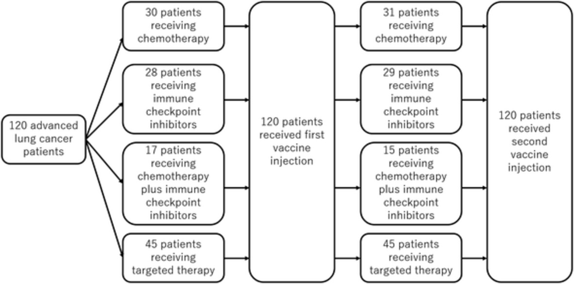 Short‐term safety of an anti‐severe acute respiratory syndrome coronavirus 2 messenger RNA vaccine for patients with advanced lung cancer treated with anticancer drugs: A multicenter, prospective, observational study