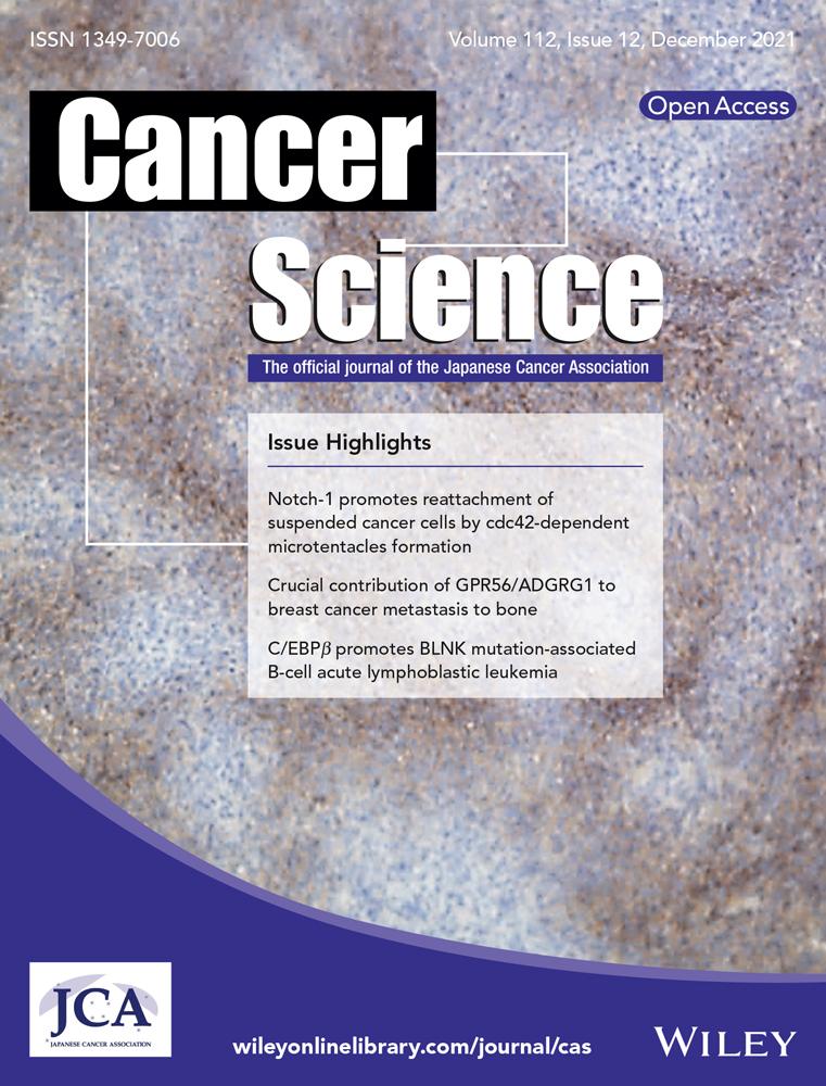 A prognostic biomarker study in patients with clinical stage I esophageal squamous cell carcinoma: JCOG0502‐A1